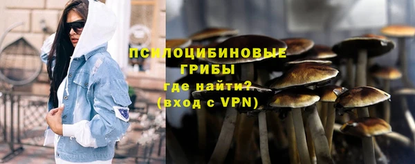 сатива Алексеевка