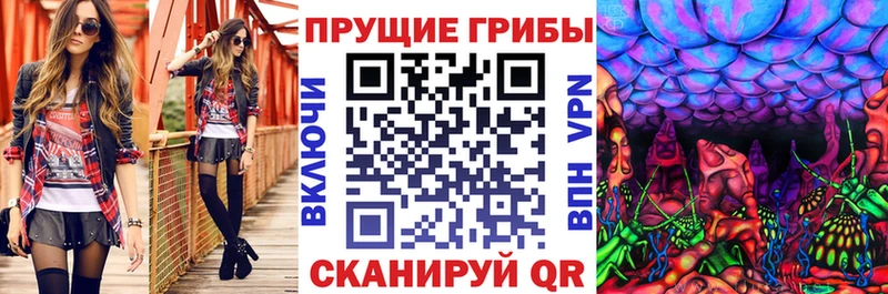 закладка  МЕГА tor  Псилоцибиновые грибы ЛСД  Смоленск 